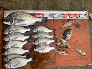 ８月１２日　釣果情報