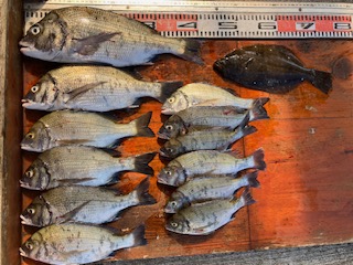 ８月２４日　釣果情報