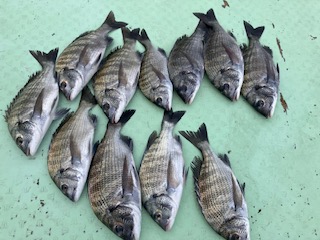 ９月２４日　釣果情報