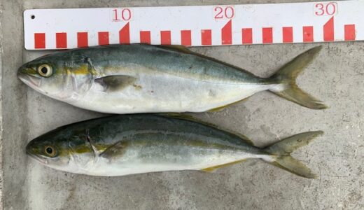１０月１４日　釣果情報