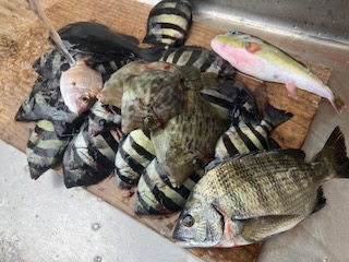 １０月２５日　釣果情報