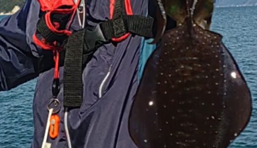 １１月１６日　釣果情報