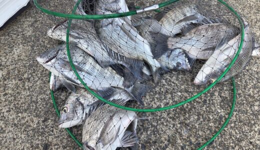 １２月１６日　釣果情報