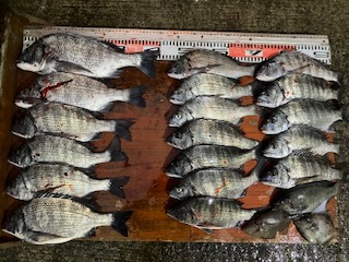 １２月７日　釣果情報