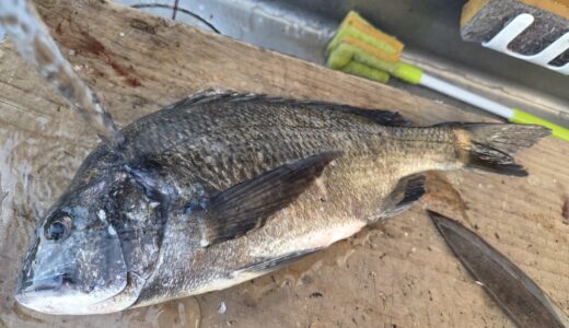 ２月２２日　釣果情報