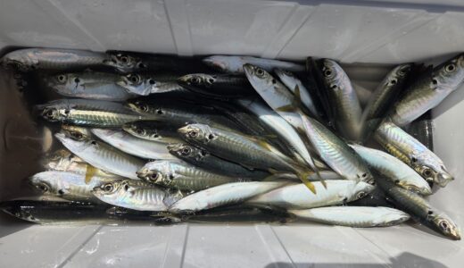 ４月８日　釣果情報