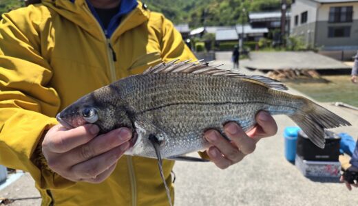 ５月１０日　釣果情報